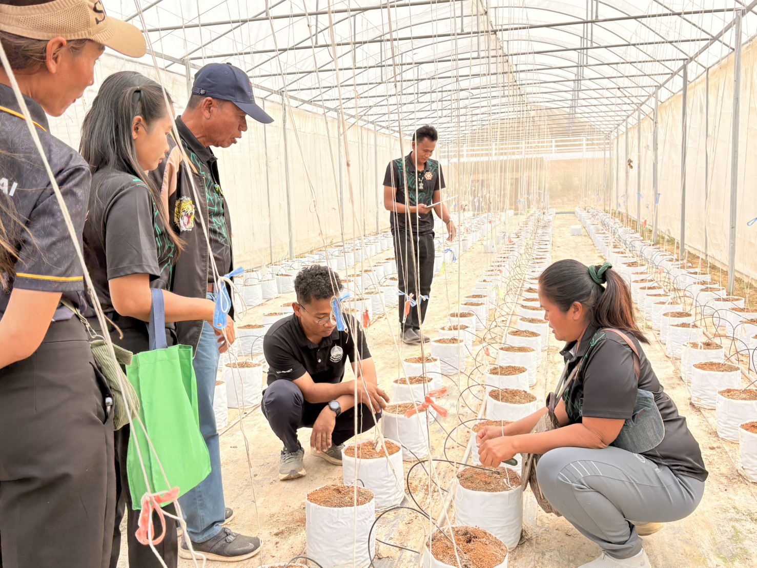 title - วันที่ 23 มกราคม 2569 นายประเสริฐ กาญจนเกียรติกุล ปฏิรูปที่ดินจังหวัดบุรีรัมย์ มอบหมายให้นายธงชัย ใจกล้า เจ้าหน้าที่ปฏิรูปที่ดิน นำเกษตรกรภายใต้โครงการพัฒนาเกษตรกรรมยั่งยืนในเขตปฏิรูปที่ดินจำนวน 11 ราย เข้าศึกษาดูงานสถานีวิจัยการเกษตรและพัฒนาโครงการหลวงโนนดินแดง